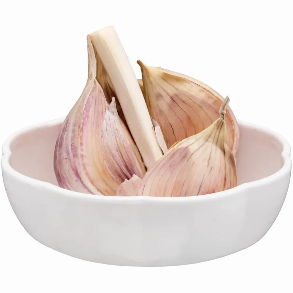 Clearly Fresh Garlic Food Storage Pod