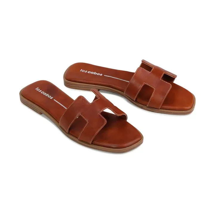 Hacette Slides - Cognac