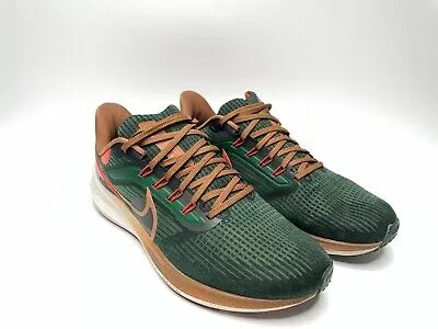 NIKE PEGASUS 39 HOLA LOU