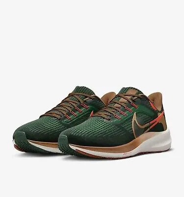 NIKE PEGASUS 39 HOLA LOU