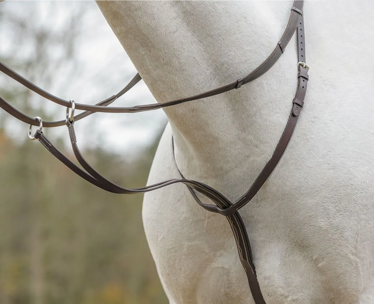 Shires Running Martingale, Havana