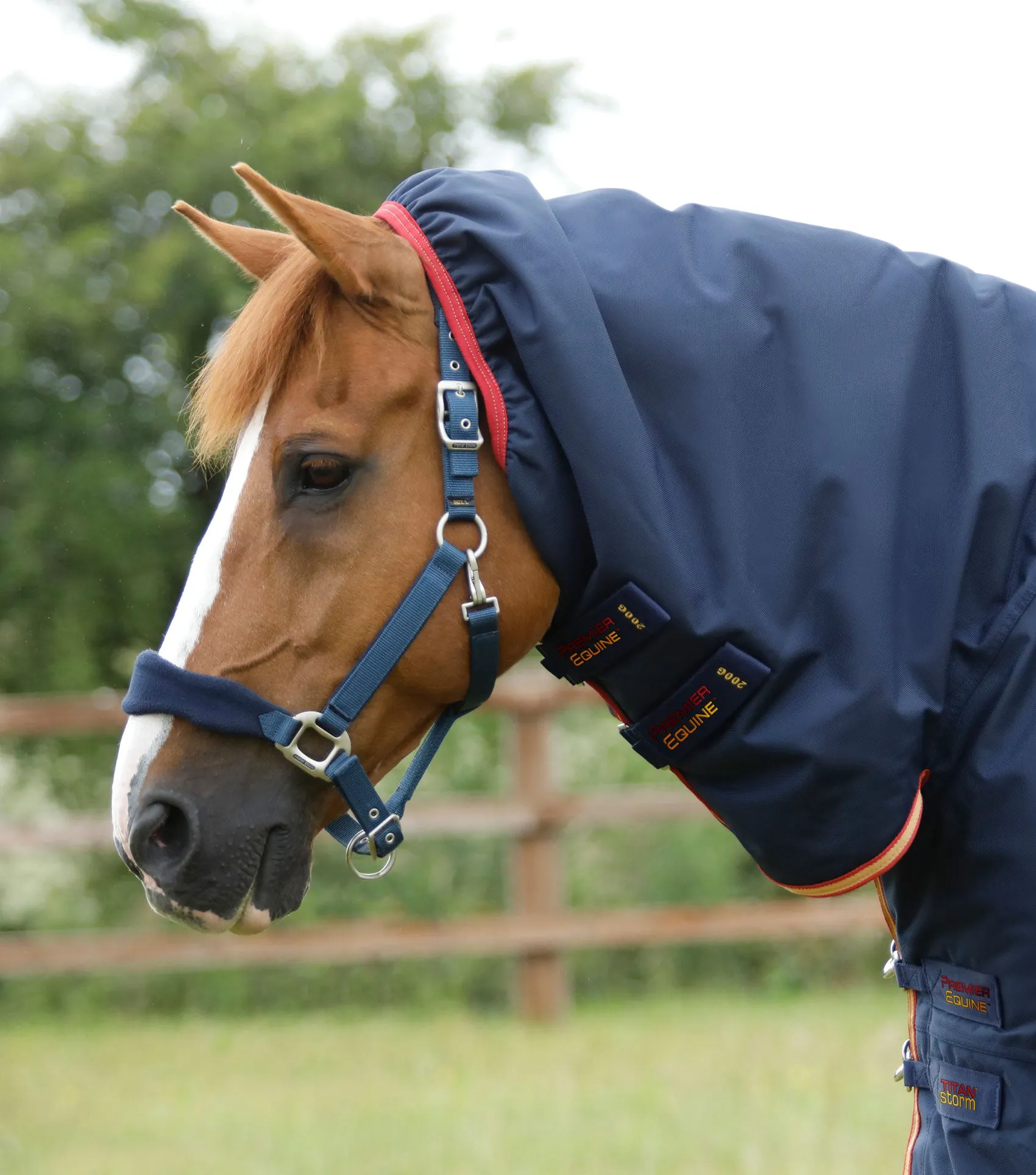 Titan Storm 450g Combo Turnout Rug with Snug-Fit Neck Navy